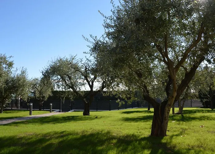 B&B Fior Di Magnolia